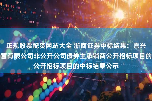 正规股票配资网站大全 浙商证券中标结果：嘉兴市启红投资运营有限公司非公开公司债券主承销商公开招标项目的中标结果公示