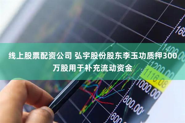 线上股票配资公司 弘宇股份股东李玉功质押300万股用于补充流动资金