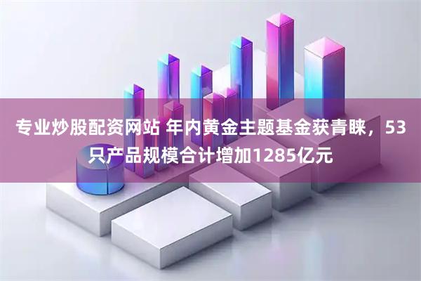 专业炒股配资网站 年内黄金主题基金获青睐，53只产品规模合计增加1285亿元