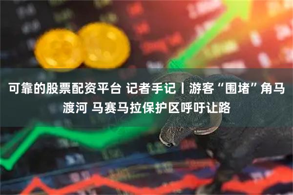 可靠的股票配资平台 记者手记丨游客“围堵”角马渡河 马赛马拉保护区呼吁让路
